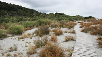 day, diffuse, diffused light, eye level view, grass, natural light, New Zealand, overcast, path, plant, sand dune, summer, West Coast