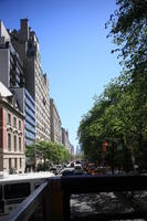 building, day, elevated, facade, Manhattan, New York, street, sunny, The United States, tree, vegetation