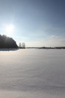 afternoon, bright, day, eye level view, field, open space, Poland, snow, sunny, Wielkopolskie, winter