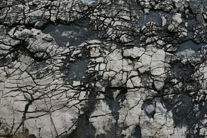 close-up, Croatia, Croatia, day, natural light, rock, stone