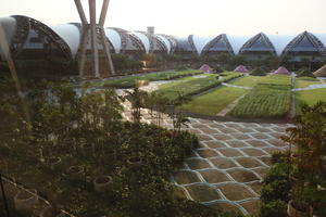 Bangkok, building, dusk, elevated, garden, grass, Krung Thep Mahanakhon, potted plant, sunny, Thailand