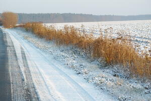 Poland, Wielkopolskie