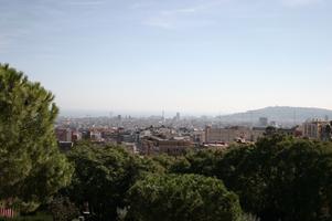 cityscape, day, elevated, natural light, vegetation