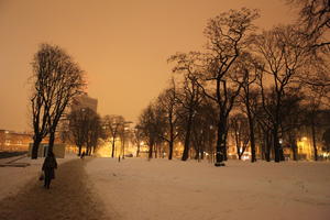 artificial lighting, eye level view, night, park, Poland, Poznan, snow, tree, vegetation, Wielkopolskie