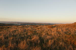 aerial view, autumn, California, day, eye level view, golden hour, grass, natural light, outdoors, plant, San Francisco, sunny, The United States