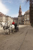 bell-tower, building, carriage, Copenhagen , day, Denmark, eye level view, horse, Kobenhavn, square, sunny, winter