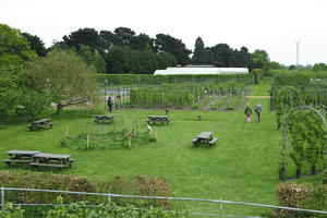 day, elevated, England, garden, grass, natural light, park, The United Kingdom, Woking