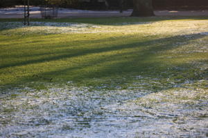 dusk, England, grass, London, lowered, park, The United Kingdom, winter