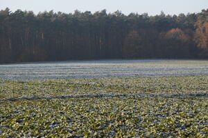 Poland, Wielkopolskie