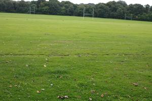 day, England, field, grass, London, lowered, natural light, The United Kingdom, vegetation