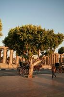 day, dusk, East Timor, Egypt, Egypt, eye level view, natural light, street, tree, vegetation