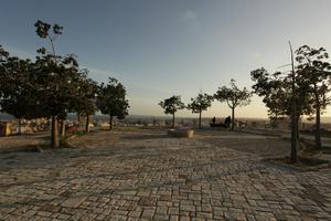 Alicante, dusk, eye level view, pavement, Spain, tree, Valenciana, vegetation