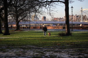 animal, dog, dusk, England, eye level view, grass, London, man, park, people, The United Kingdom, tree, vegetation, walking, winter