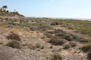 autumn, Canarias, day, elevated, Las Palmas, shrubbery, shrubland, Spain, sunny