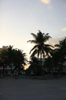 beach, dusk, eye level view, Florida, Miami, palm, The United States, tree, vegetation, winter