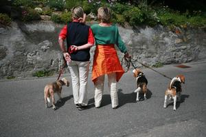 back, day, dog, eye level view, Graubunden, natural light, Saint Moritz, standing, street, Switzerland, woman