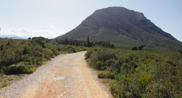 bright, bush, day, Denia, eye level view, mountain, path, shrub, shrubland, Spain, spring, sunny, Valenciana