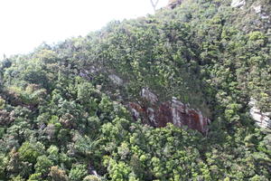 day, elevated, forest, Kedah, Malaysia, mountain, sunny, vegetation