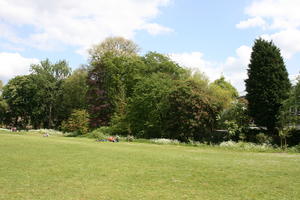 afternoon, Cambridge, day, England, eye level view, grass, lawn, park, spring, sunny, The United Kingdom, tree, vegetation