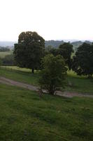 countryside, dusk, elevated, field, grass, natural light, summer, The United Kingdom, tree, Wales