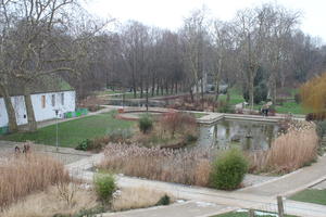 day, elevated, France, Ile-De-France, natural light, overcast, Paris, park, pond, reed, winter