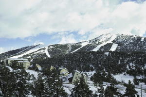 coniferous, day, elevated, evergreen, France, Greolieres, mountain, Provence Alpes Cote D