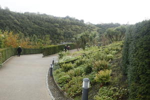 autumn, bush, day, diffuse, diffused light, Eden Project, England, eye level view, garden, path, shrub, The United Kingdom