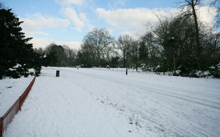 ambient light, Battersea park, day, diffuse, diffused light, England, eye level view, fence, London, natural light, park, snow, The United Kingdom, track, tree, vegetation, winter