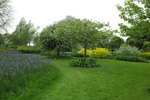 day, England, eye level view, flower, garden, grass, natural light, park, The United Kingdom, tree, Woking