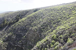 Canarias, day, elevated, hill, shrubland, Spain, summer, sunny