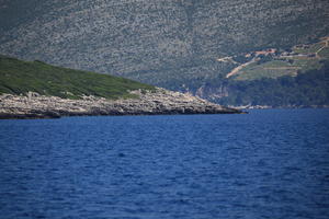 coastline, Croatia, day, eye level view, seascape, summer