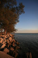 eye level view, Florida, Miami, seascape, shore, sunset, The United States, tree, vegetation