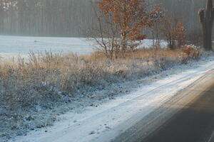 Poland, Wielkopolskie