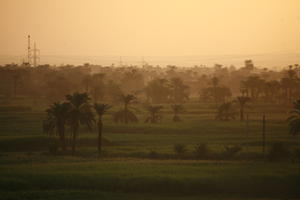 dusk, East Timor, Egypt, Egypt, elevated, palm, vegetation