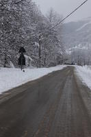 ambient light, day, diffuse, diffused light, eye level view, Italia , morning, natural light, overcast, road, snow, tree, Veneto, winter