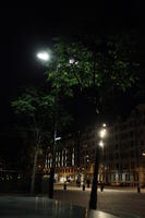 artificial lighting, Bilbao, eye level view, night, Pais Vasco, Spain, tree, vegetation