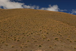 day, eye level view, grass, hill, summer, sunlight, sunny, sunshine