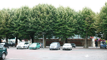 Amiens, car, car park, day, eye level view, France, lamppost, overcast, Picardie, tree