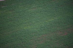 aerial view, Cusco, day, diffuse, diffused light, field, Peru, Pisaq, summer