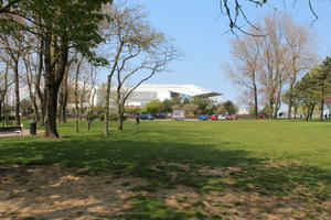 Boulogne-sur-Mer, broad-leaf tree, broad-leaved tree, day, eye level view, France, grass, Nord-Pas-de-Calais, park, spring, sunny, tree