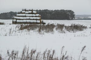 Poland, Wielkopolskie