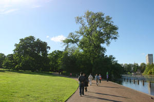 alley, broad-leaf tree, broad-leaved tree, day, England, eye level view, grass, group, London, park, people, summer, sunny, The United Kingdom, walking