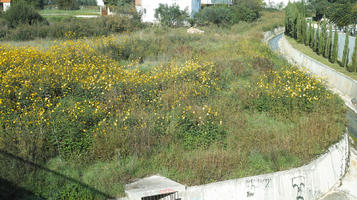 autumn, Croatia, day, eye level view, shrubland, sunny, Zadar, Zadarska