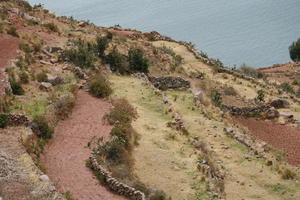 above, day, field, natural light, Peru, Puno, spring