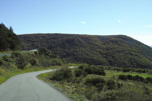 autumn, bright, day, eye level view, France, mountain, Provence Alpes Cote D