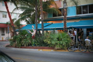 bicycle, building, cafe, canopy, dusk, eye level view, Florida, Miami, palm, street, The United States, tree, vegetation, winter