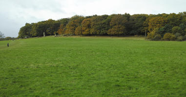 afternoon, autumn, cloudy, day, deciduous, England, eye level view, grass, lawn, open space, outdoors, park, The United Kingdom, treeline, vegetation, Wimbledon