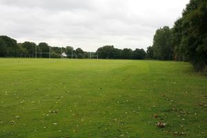 day, England, eye level view, field, grass, lawn, London, natural light, The United Kingdom, vegetation