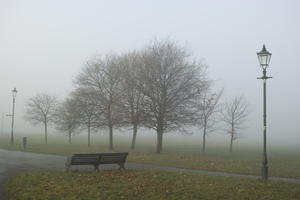 bench, deciduous, England, eye level view, fog, grass, London, natural light, overcast, park, street light, The United Kingdom, tree, winter