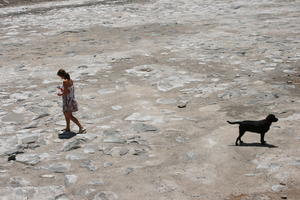 Canarias, day, dog, elevated, Las Palmas de Gran Canaria, riverbed, Spain, sunny, walking, woman